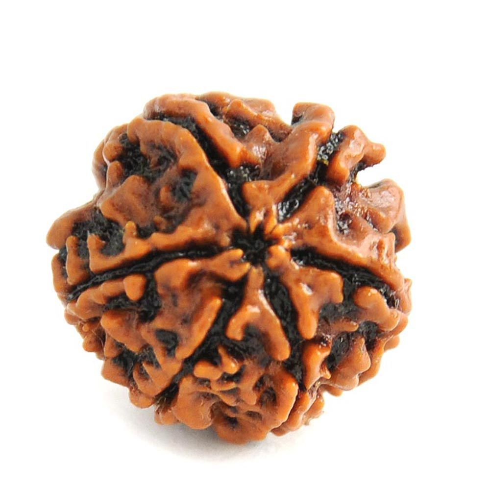 6-Mukhi